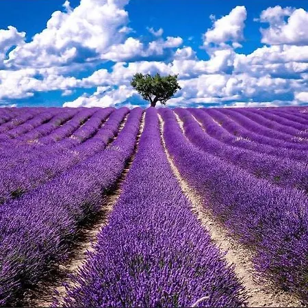 Le Cabanon En Provence Casa vacanze