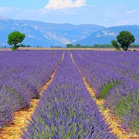 Le Cabanon En Provence *